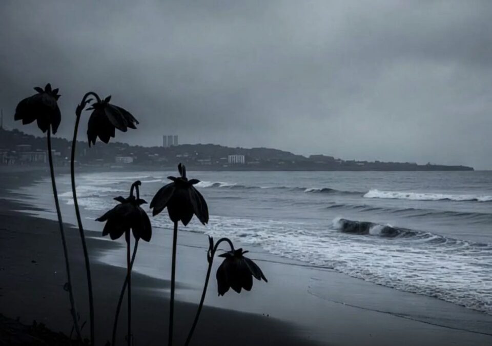 Dos mujeres halladas sin vida en una vivienda de Playa del Carmen