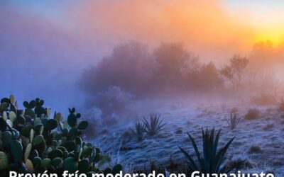 Prevén frío moderado en Guanajuato y piden prevención