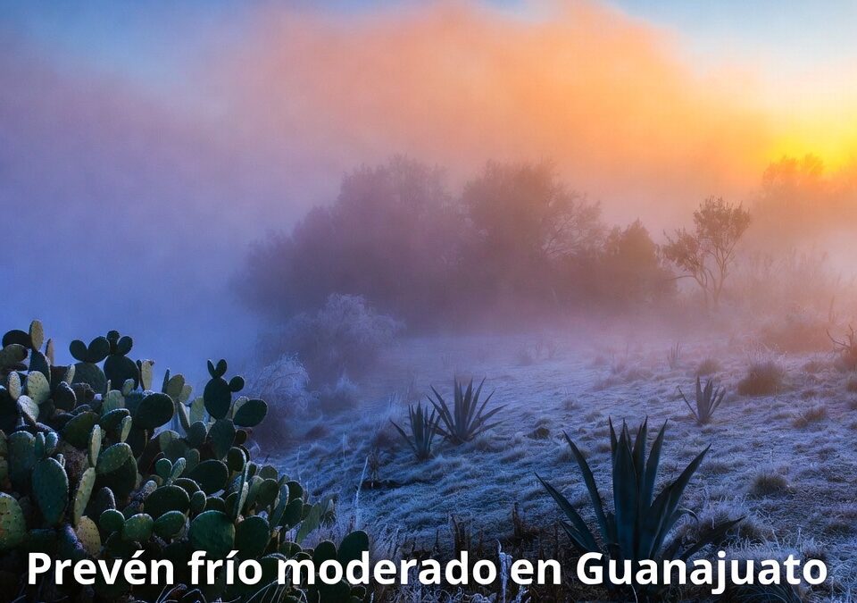 Prevén frío moderado en Guanajuato y piden prevención