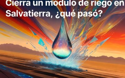 Cierra un módulo de riego en Salvatierra, ¿qué pasó?