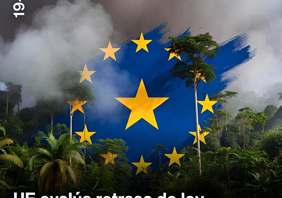 UE evalúa retraso de ley anti-deforestación y hay críticas