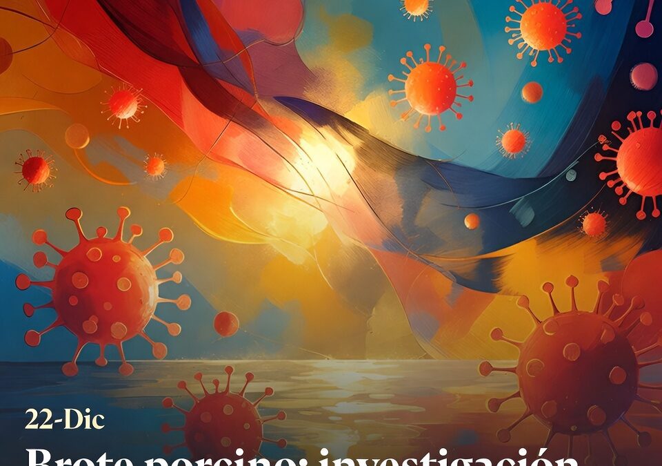 Brote porcino: investigación sigue sin origen claro en España