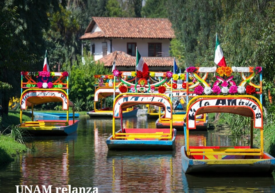 UNAM relanza Adoptaxolotl y pone a Xochimilco en el centro ambiental