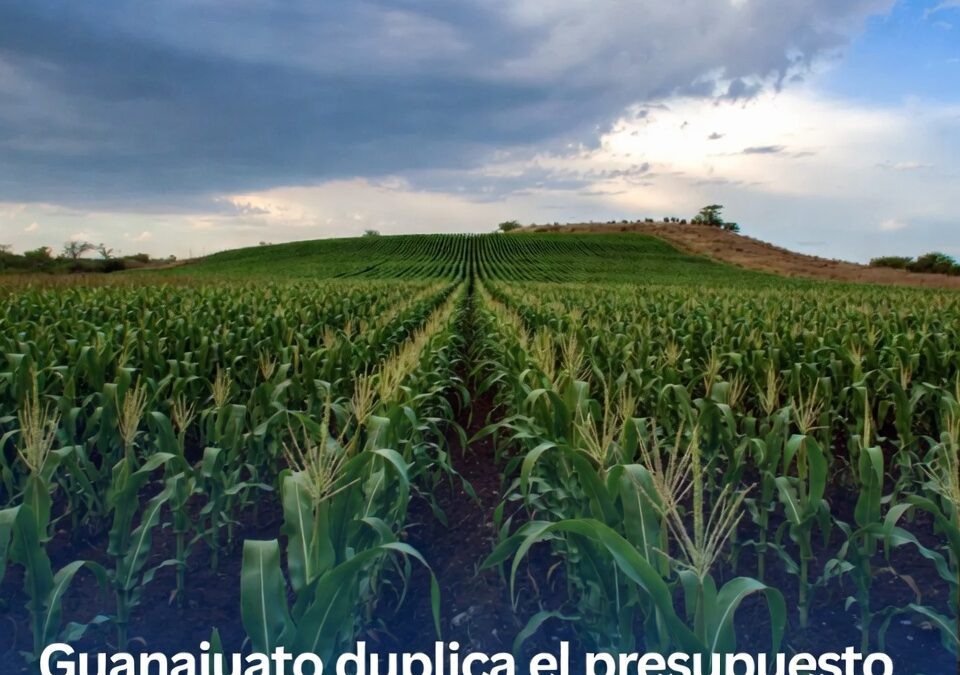 Guanajuato duplica el presupuesto al campo y abre debate sobre a quién llega el apoyo