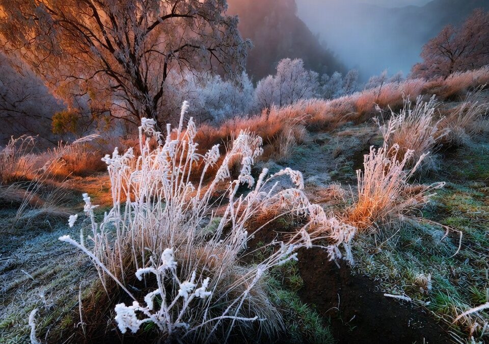 Frente frío 23 mantiene madrugadas heladas en Guanajuato