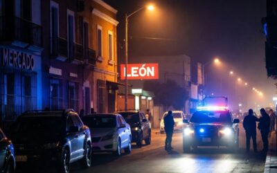Alcohol al volante: 29 conductores detectados en León
