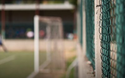 Deportiva Sur Salamanca: piden revisar barda por riesgo