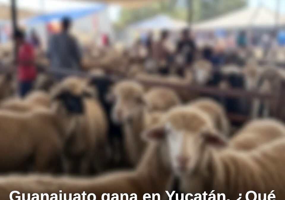 Guanajuato gana en Yucatán. ¿Qué significa la campeona genética?