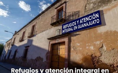 Refugios y atención integral en Guanajuato: agenda urgente para mujeres