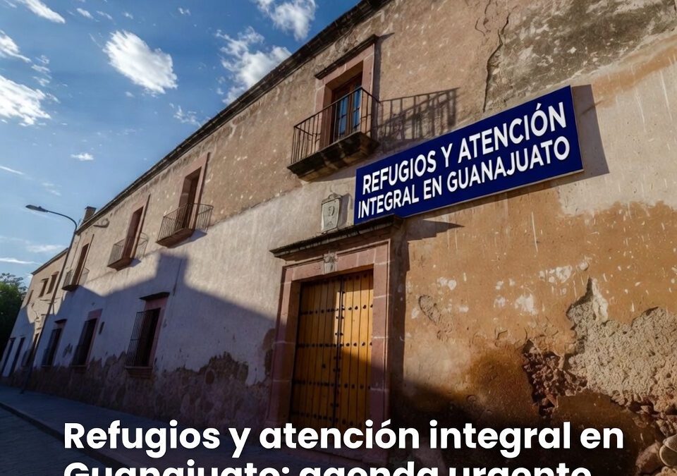 Refugios y atención integral en Guanajuato: agenda urgente para mujeres