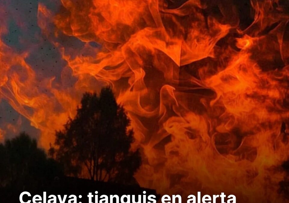 Celaya: tianguis en alerta por incendio de un árbol