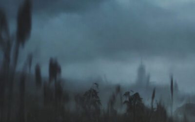 Salamanca: colectivos reportan 14 cuerpos hallados en un mes