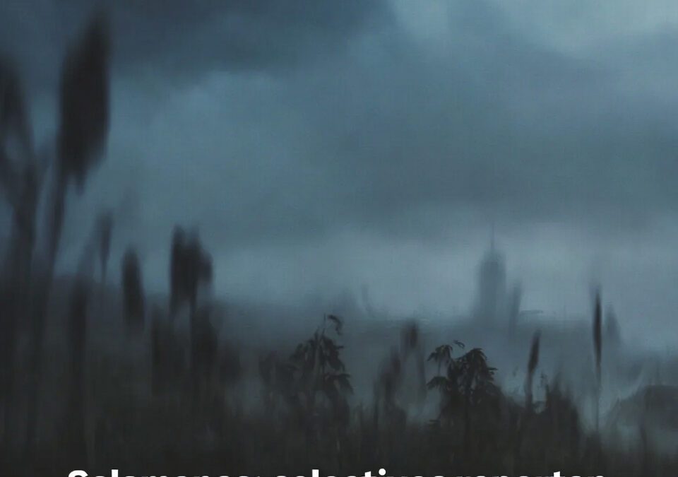 Salamanca: colectivos reportan 14 cuerpos hallados en un mes