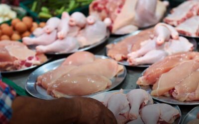 Sube el pollo en Irapuato por presión de insumos