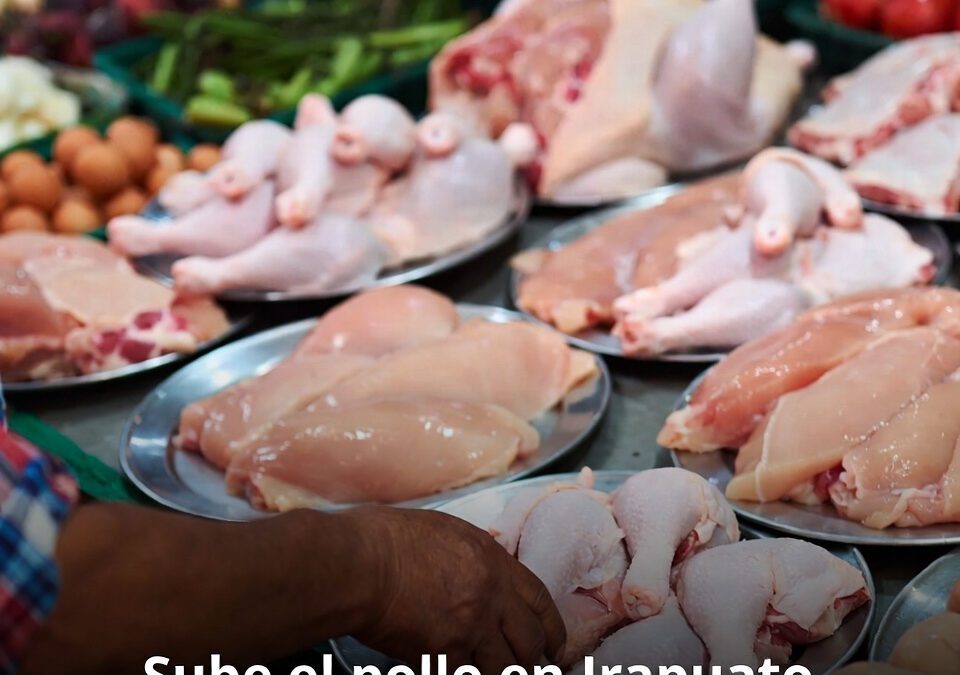 Sube el pollo en Irapuato por presión de insumos