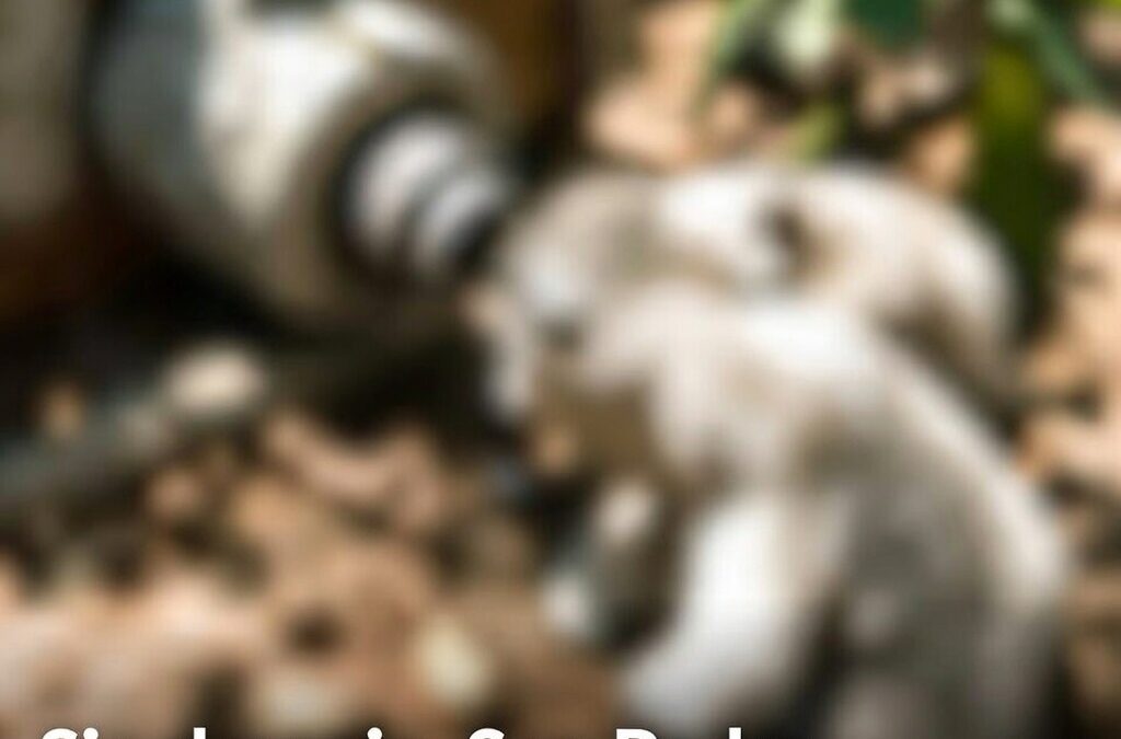 Sin drenaje, San Pedro Gilmonene vive riesgo sanitario