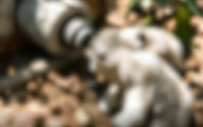 Sin drenaje, San Pedro Gilmonene vive riesgo sanitario