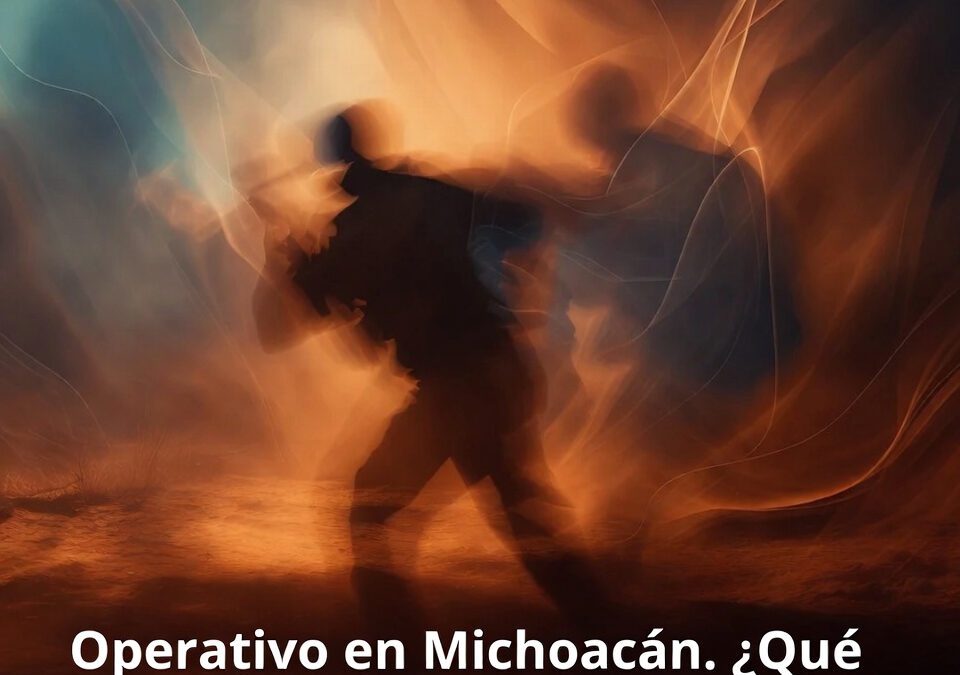 Operativo en Michoacán. ¿Qué hallaron y por qué importa al país?