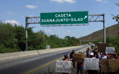 Ambientalistas cuestionan tala por caseta Guanajuato Silao