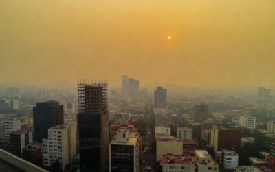 Ozono al límite: ¿a quién le toca no circular hoy?