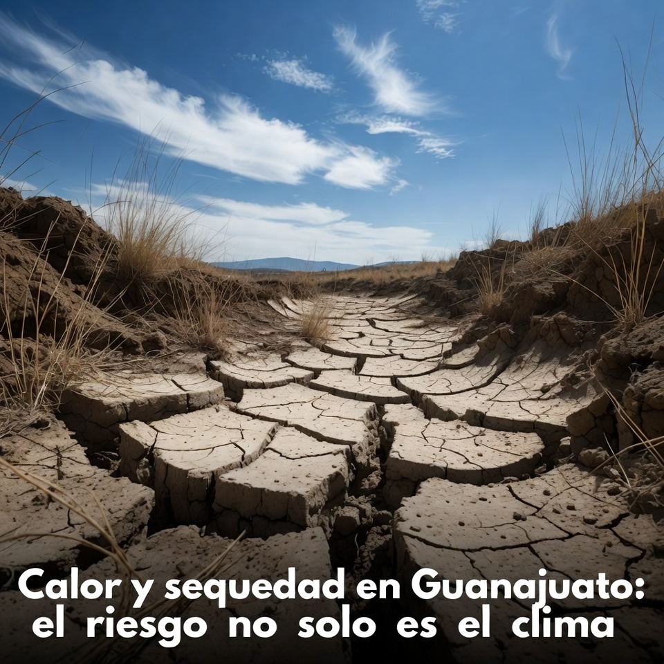 Calor y sequedad en Guanajuato: el riesgo no solo es el clima