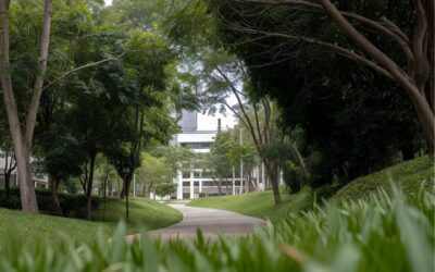 León cerca El Potrero y acelera fase del parque