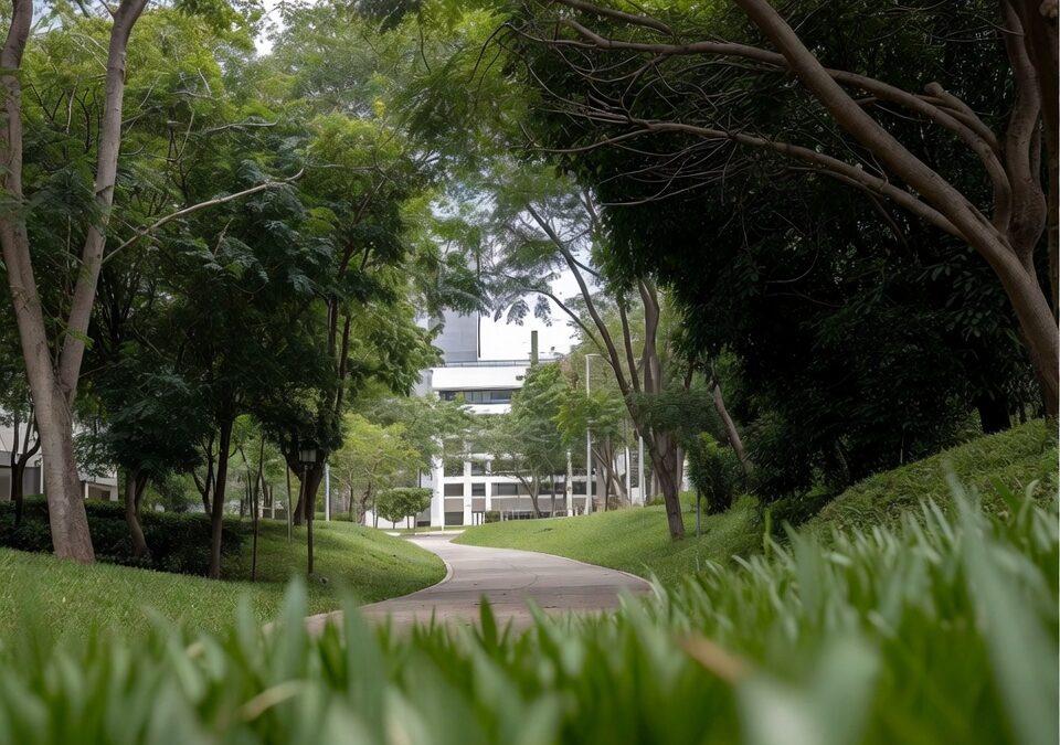 León cerca El Potrero y acelera fase del parque