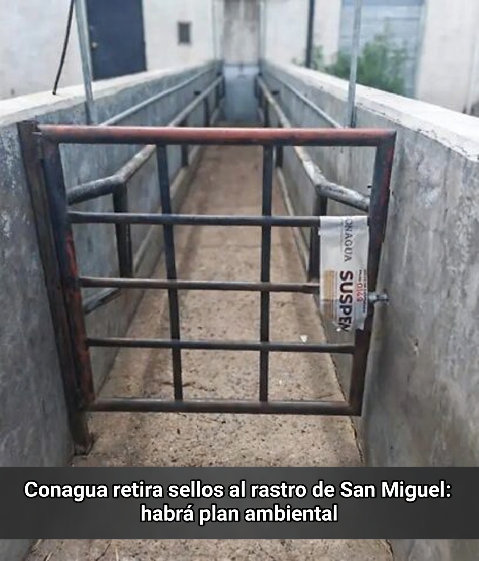 «Conagua retira sellos al rastro de San Miguel: habrá plan ambiental»