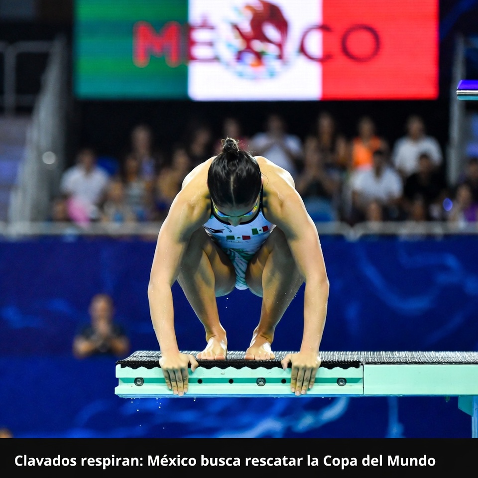 Clavados respiran: México busca rescatar la Copa del Mundo