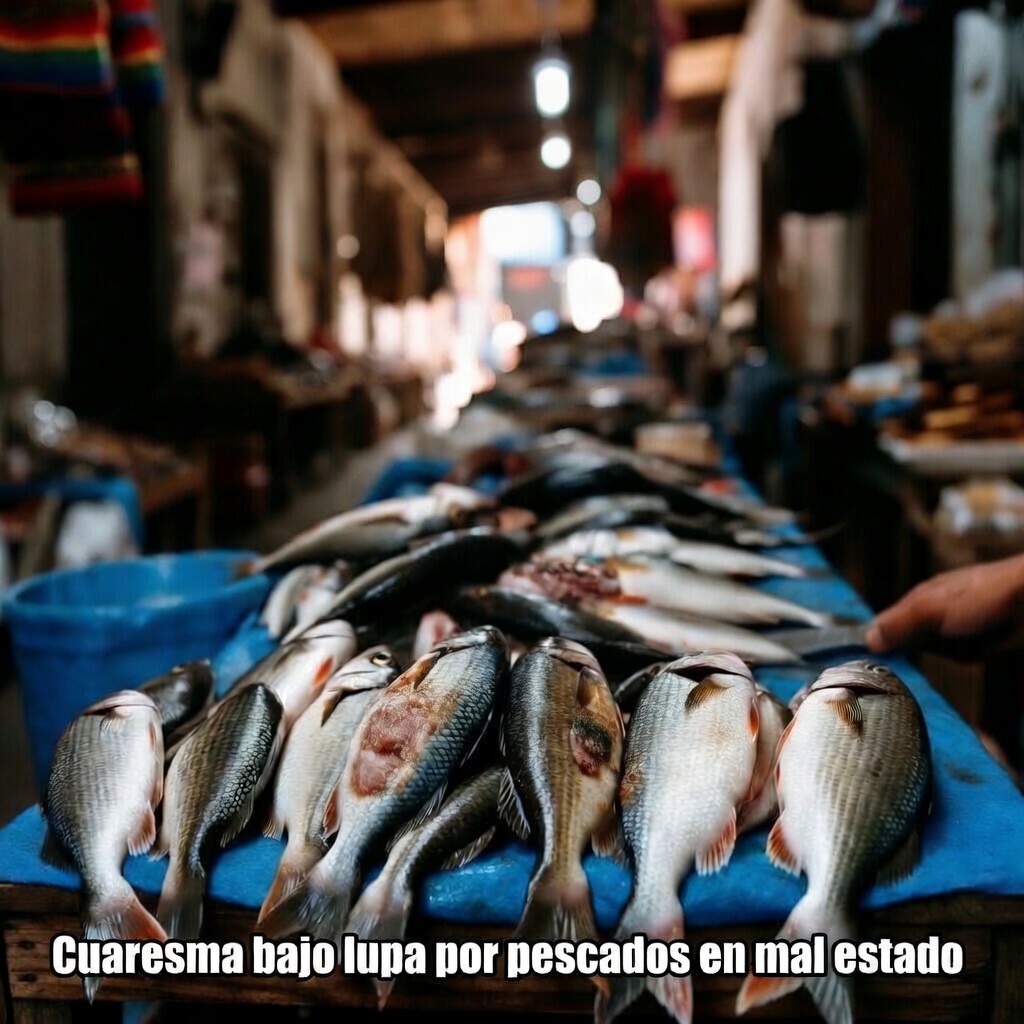 Cuaresma bajo lupa por pescados en mal estado