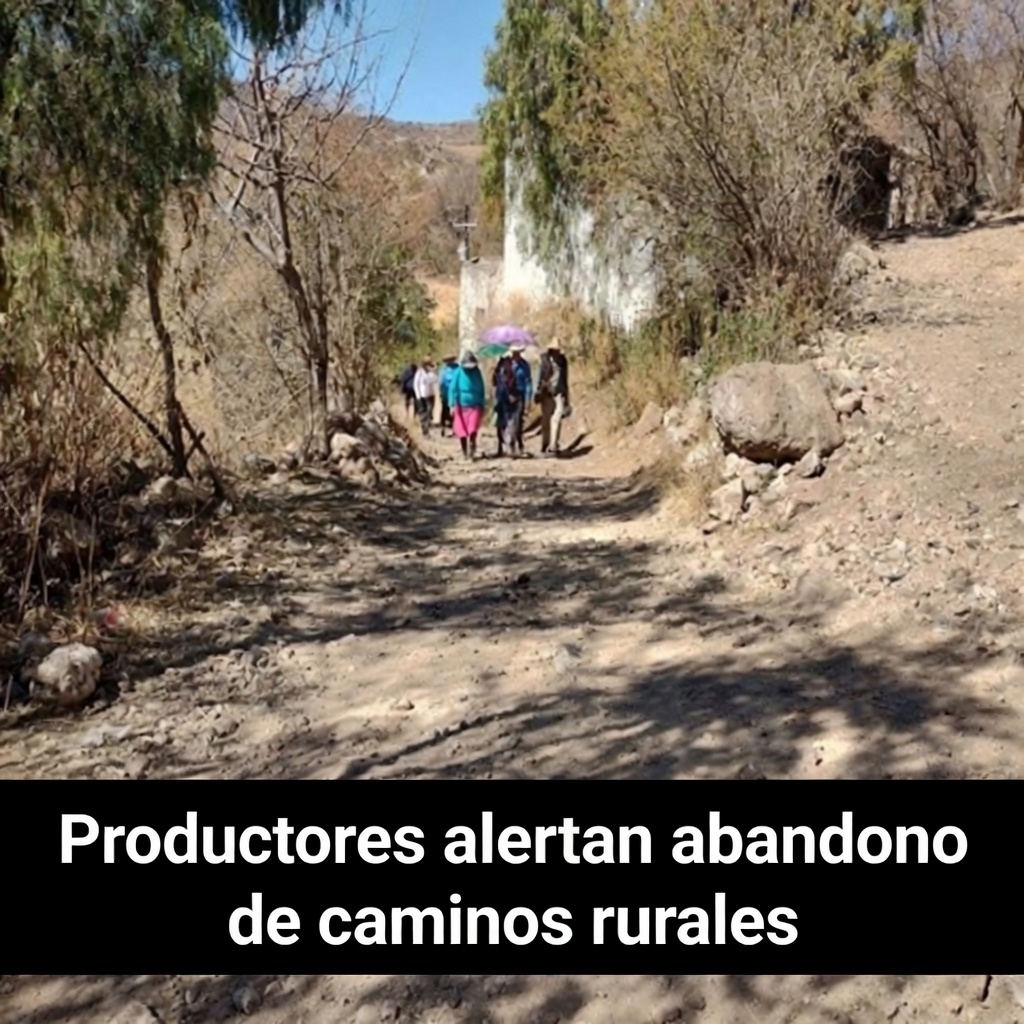 Productores alertan abandono de caminos rurales