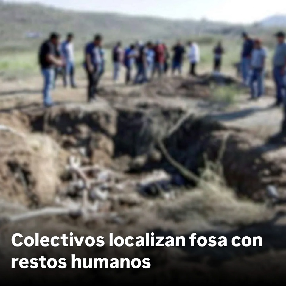 Colectivos localizan fosa con restos humanos