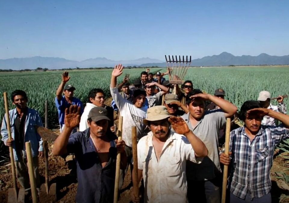 Jornaleros agrícolas concentran apoyos laborales federales