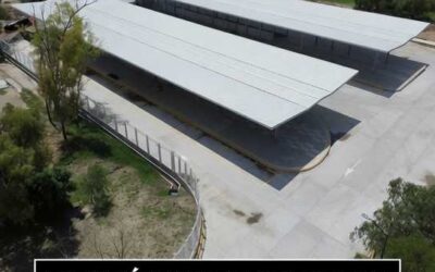 Zoológico de León reforzará su seguridad