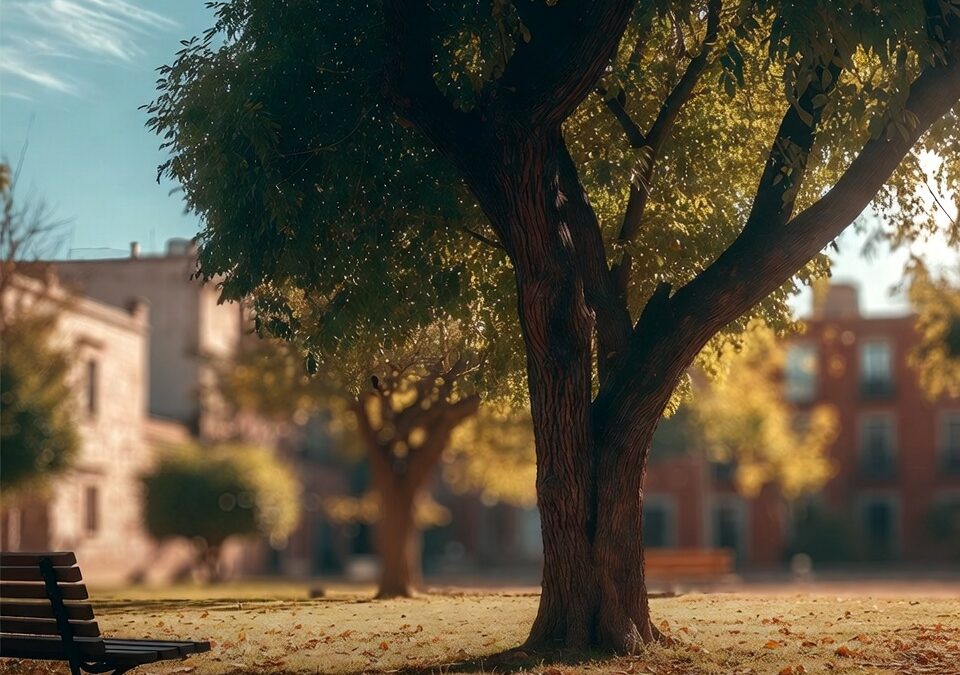 San Miguel renovará arbolado del parque Benito Juárez