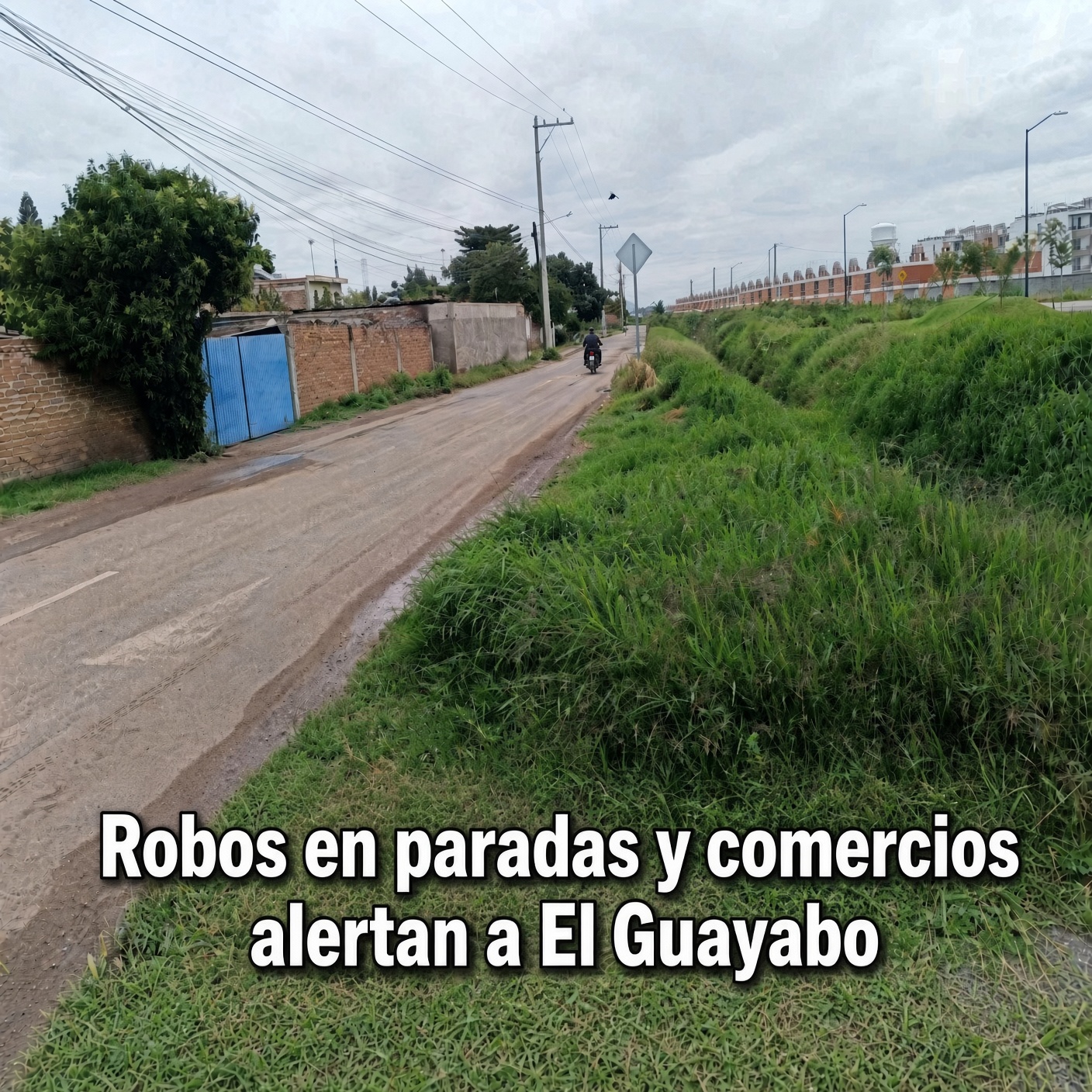Robos en paradas y comercios alertan a El Guayabo